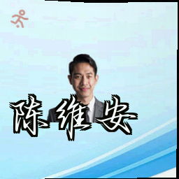 陈维安